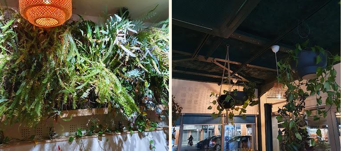 Les Singes Gourmands - Gallery Image 5